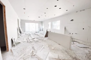 Drywall Demolition (2)